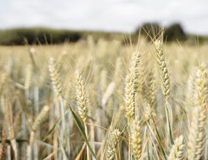 2026九游娱乐官网入口官方维托大将铁笼包抄,破网得分