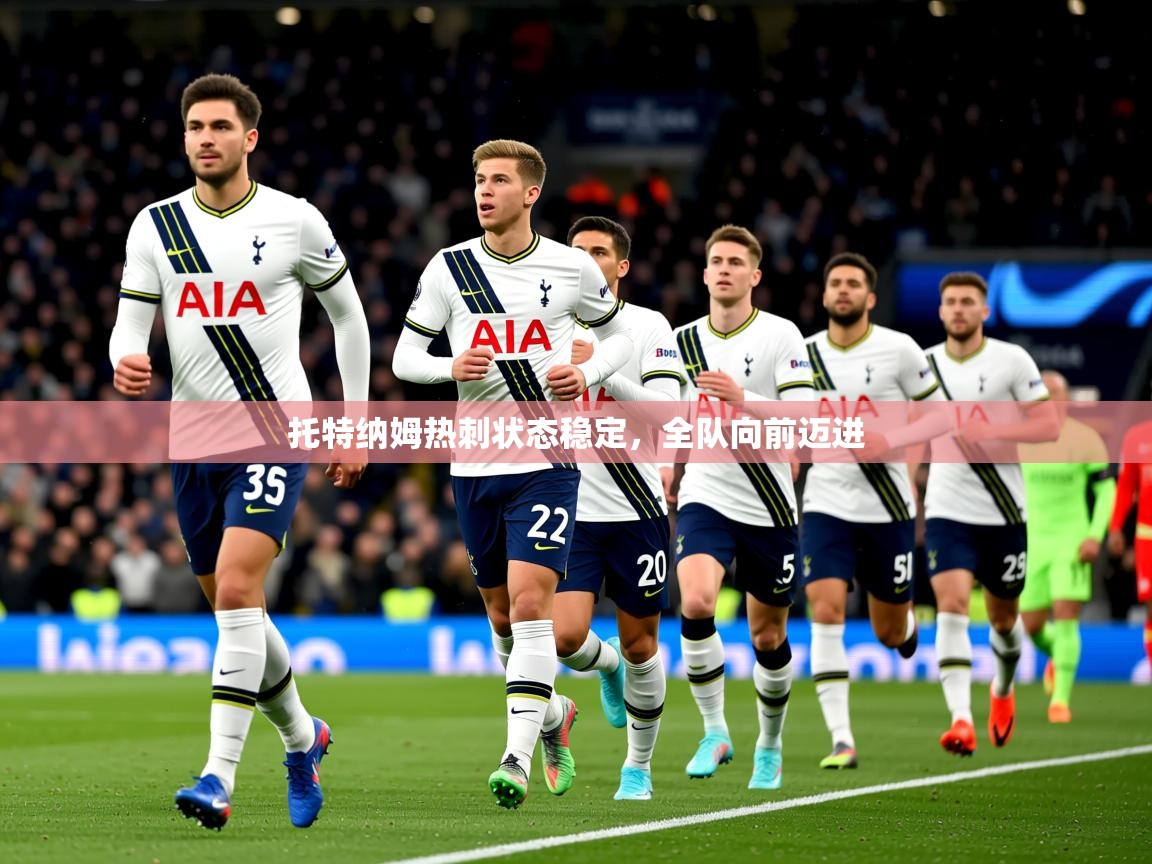 2025九游娱乐app是不莱梅的赞助商托特纳姆热刺状态稳定，全队向前迈进  第1张