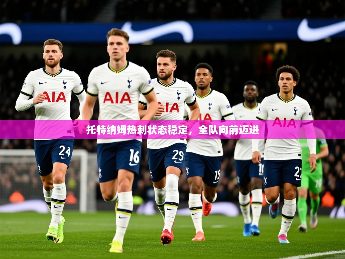 2025九游娱乐app是不莱梅的赞助商托特纳姆热刺状态稳定，全队向前迈进  第4张