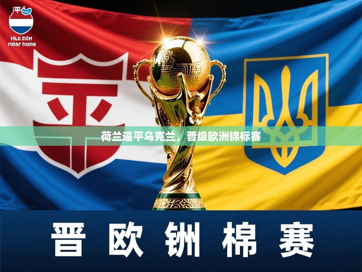 2025九游娱乐官网荷兰逼平乌克兰，晋级欧洲锦标赛  第4张